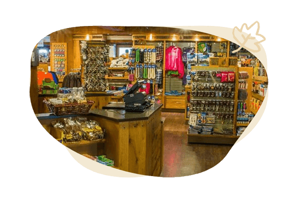 interior of campground store