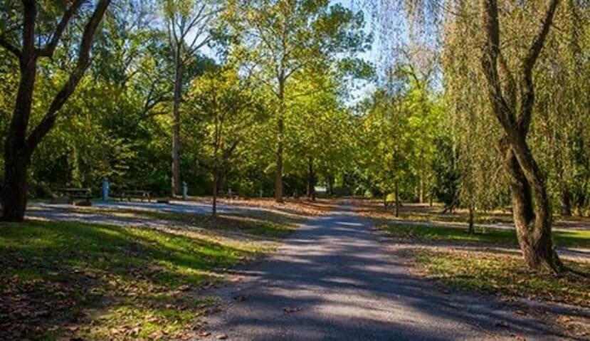 road in campground