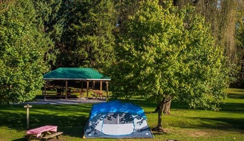 tents in campground